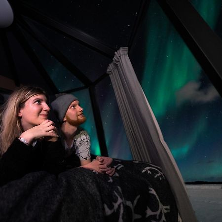 Hotel Aurora Nest - Eco Glass Igloo à Rovaniemi Extérieur photo
